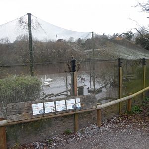 Waterfowl aviary 050224