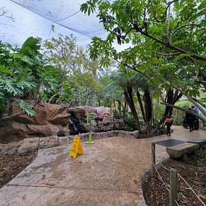 Santa Ana Zoo - Colors the Amazon aviary, inside entrance
