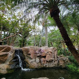 Santa Ana Zoo - Colors the Amazon aviary