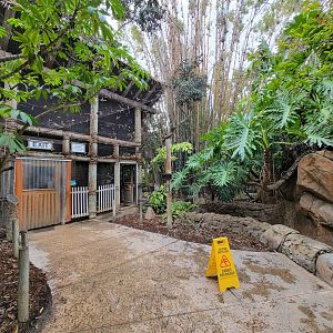 Santa Ana Zoo - Colors the Amazon aviary, entrance/exit