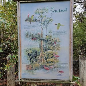 Santa Ana Zoo - Colors the Amazon aviary, Life at Every Level