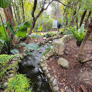 Santa Ana Zoo - Colors the Amazon aviary