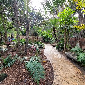 Santa Ana Zoo - Colors the Amazon aviary