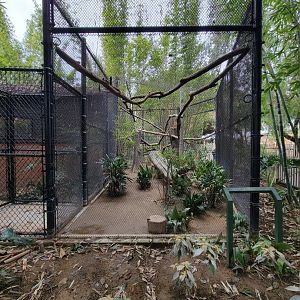 Santa Ana Zoo - Ocelot exhibit