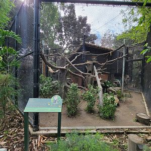 Santa Ana Zoo - Ocelot exhibit
