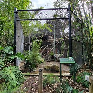 Santa Ana Zoo - Ocelot exhibit