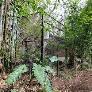 Santa Ana Zoo - Second ocelot exhibit