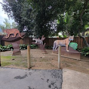 Santa Ana Zoo - The Felid Family