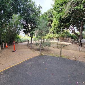 Santa Ana Zoo - Empty yard