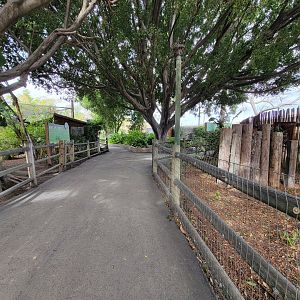 Santa Ana Zoo - Path