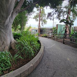 Santa Ana Zoo - Path