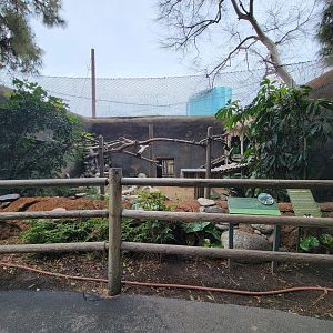 Santa Ana Zoo - Binturong exhibit