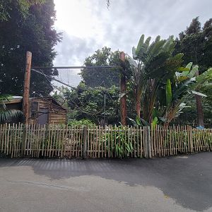 Santa Ana Zoo - Black howler exhibit