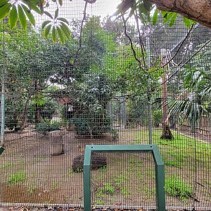 Santa Ana Zoo - Black howler exhibit