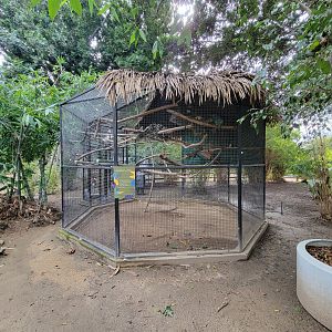 Santa Ana Zoo - Blue & yellow macaw "indoor" exhibit