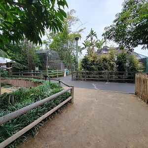 Santa Ana Zoo - Primate exhibits