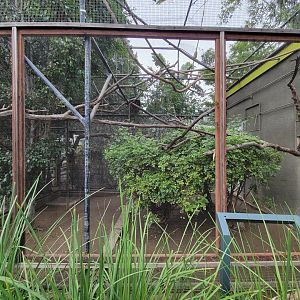 Santa Ana Zoo - White-faced saki exhibit