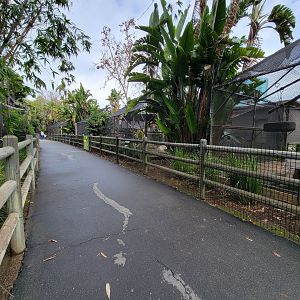 Santa Ana Zoo - Monkey row path