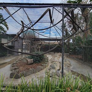 Santa Ana Zoo - Crested capuchin exhibit