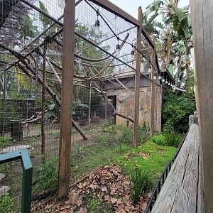 Santa Ana Zoo - Old exhibit in blocked off area