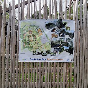 Santa Ana Zoo - Primate Forest master plan