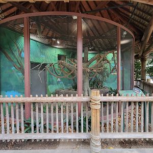 Santa Ana Zoo - Emperor tamarin exhibit