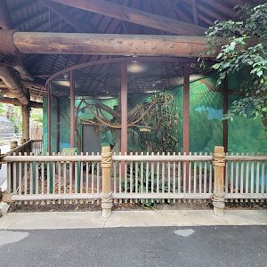 Santa Ana Zoo - Emperor tamarin exhibit