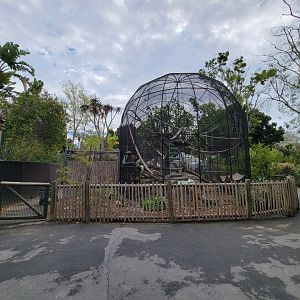 Santa Ana Zoo - Jack Lynch Aviary (with Guereza colobuses)