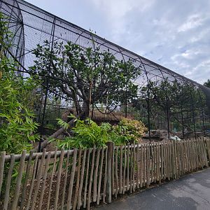 Santa Ana Zoo - Jack Lynch Aviary (with Guereza colobuses)
