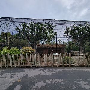 Santa Ana Zoo - Jack Lynch Aviary (with Guereza colobuses)