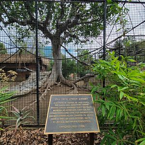 Santa Ana Zoo - Jack Lynch Aviary (with Guereza colobuses)
