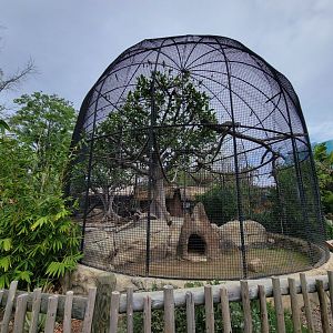 Santa Ana Zoo - Jack Lynch Aviary (with Guereza colobuses)