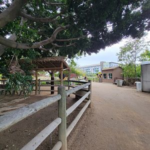 Santa Ana Zoo - Path