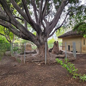 Santa Ana Zoo - Empty yard, previously held rabbits?