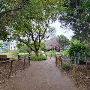 Santa Ana Zoo - Pampas path