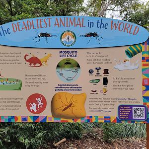 Santa Ana Zoo - The Deadliest Animal in the World