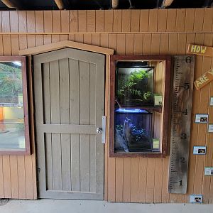 Santa Ana Zoo - Exploration Outpost herp exhibits