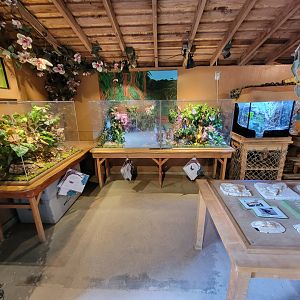 Santa Ana Zoo - Exploration Outpost