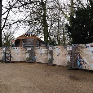 Construction of new waffle house between gorilla exhibit and playground, 2024-02-17