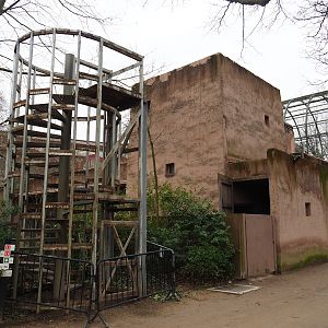 Hippo house renovations - Roof-top viewing area nearly dismantled, 2024-02-17