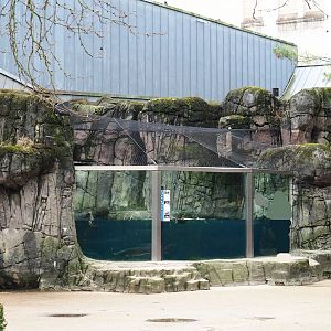 Sea duck and sturgeon exhibit, Former sea otter and harbor seal exhibit, 2024-02-17