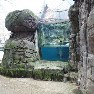 Sea duck and sturgeon exhibit, Former sea otter and harbor seal exhibit, 2024-02-17