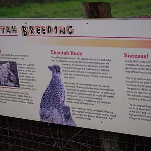 Cheetah Rock signage- 28/12/2022