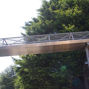 Overhead tunnel- 3/6/2022