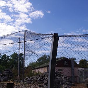 Province of the Snow cat- 3/6/2022