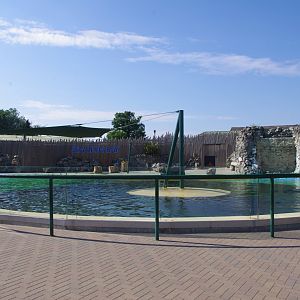 Sealion Bay- 3/6/2022