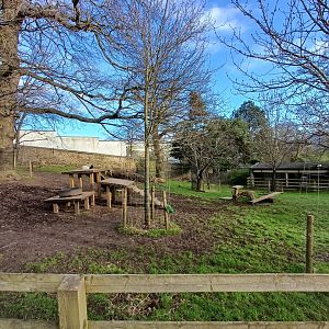 Bagot Goat- enclosure