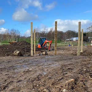 Work in the new picnic area, ZSL Whipsnade, UK