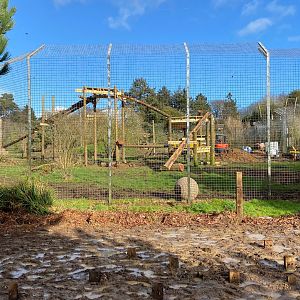 Tiger enclosure new construction, ZSL Whipsnade, UK