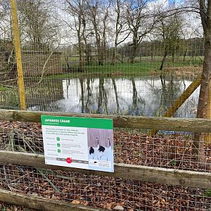 Japanese crane signage, ZSL Whipsnade, UK